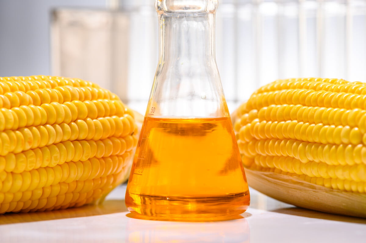 Biofuel from corn, oil and biofuel solution.